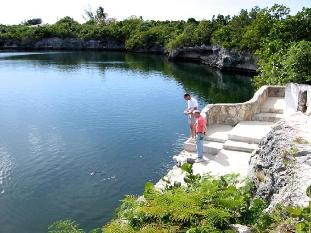 Sand Dollar Cottage Cottage Rock Sound Extérieur photo